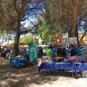 Printmpes des Colibris Agde 18 mai 2025 