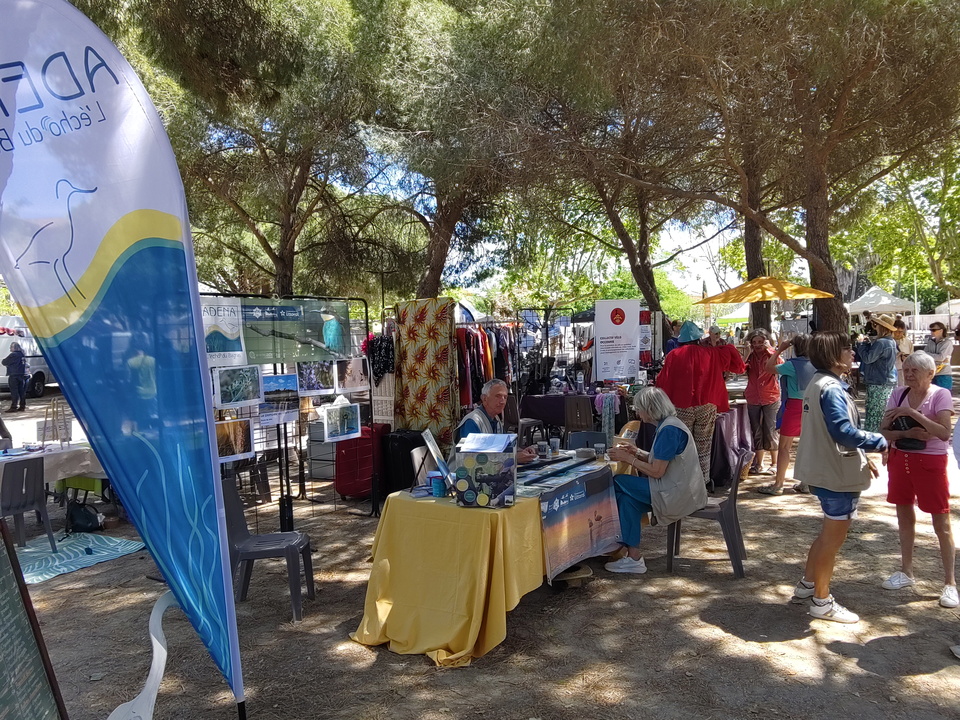 Printmpes des Colibris Agde 18 mai 2025 