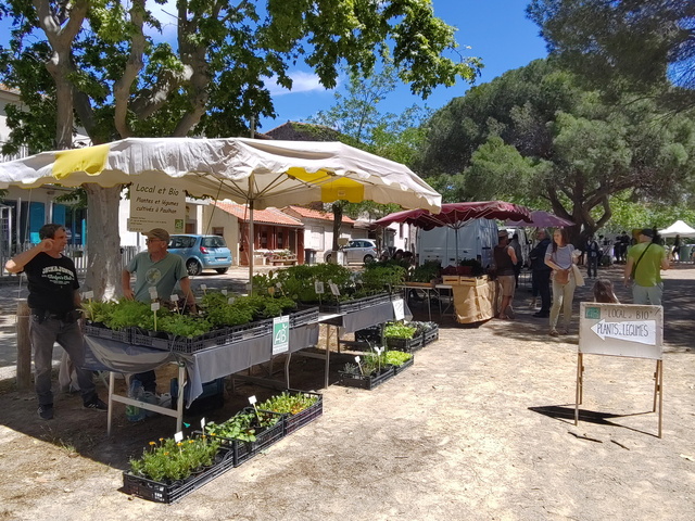 Printmpes des Colibris Agde 18 mai 2025 