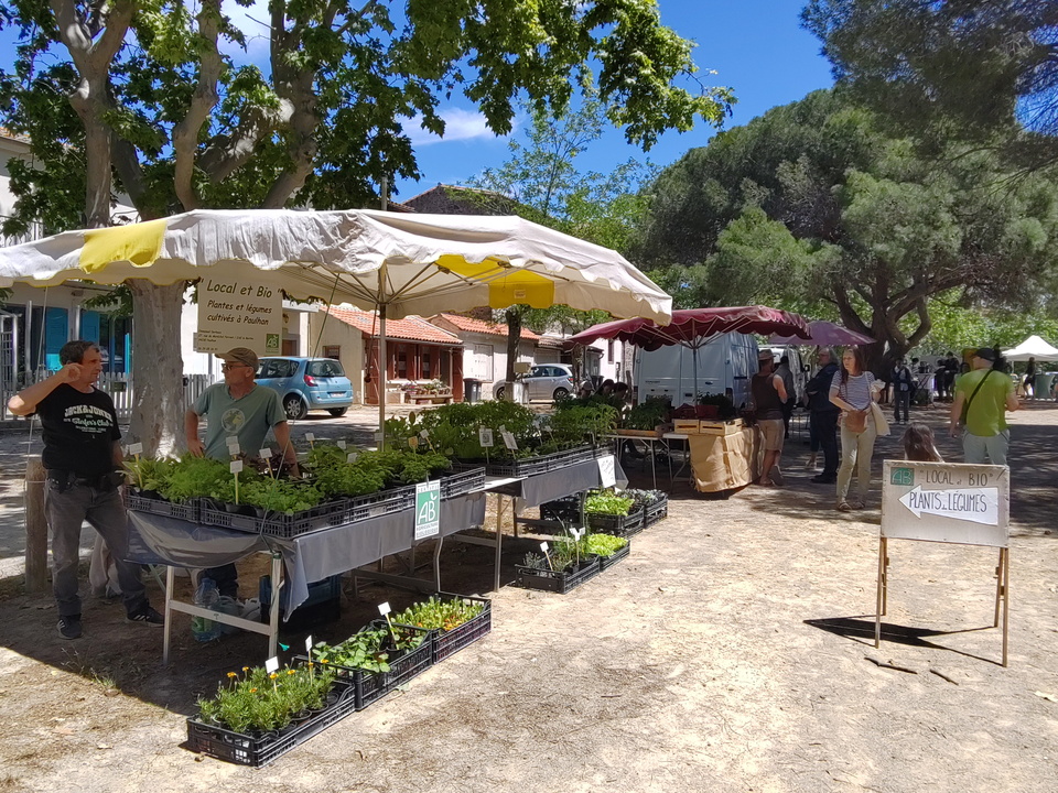 Printmpes des Colibris Agde 18 mai 2025 