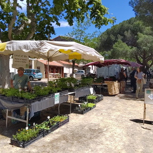 Printmpes des Colibris Agde 18 mai 2025 