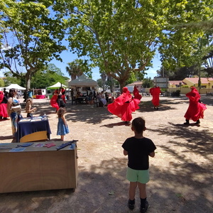 Printmpes des Colibris Agde 18 mai 2025 