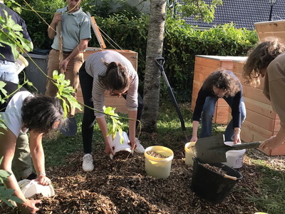 Ilôt de compostage du Mesnil-Saint-Denis mai 2025