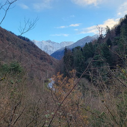 Atelier Luchon FDVA nov 2025