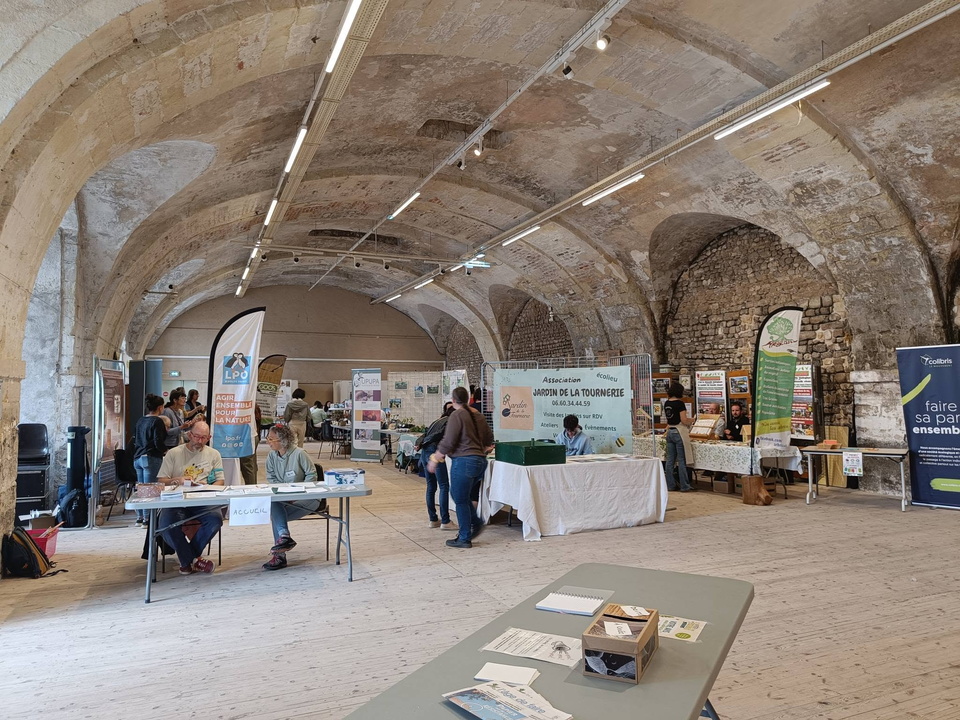 Colibristhouarsais-evenement-juin2026-1